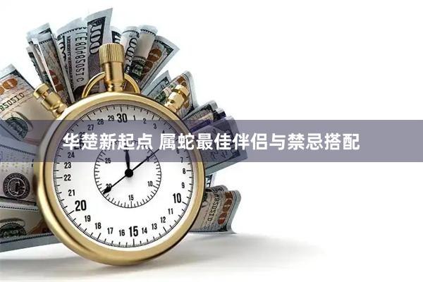 华楚新起点 属蛇最佳伴侣与禁忌搭配