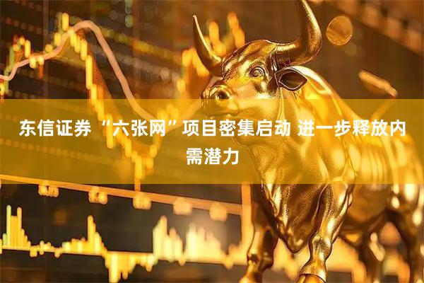 东信证券 “六张网”项目密集启动 进一步释放内需潜力